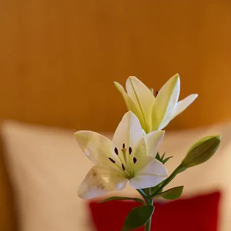 Lanzer 게스트하우스 3*